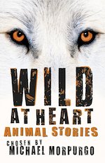 Wild At Heart