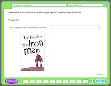 The Iron Man: Assessment questions