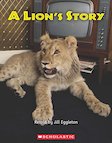 A Lion's Story x 6