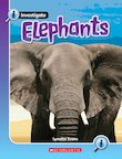 Pack of 6 - Elephants