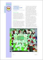 Ladybirds, caterpillars and butterflies