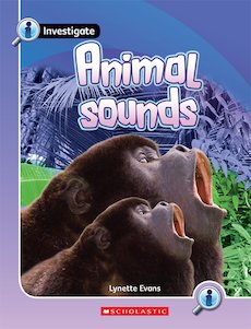 Investigate: Animal Sounds x 6