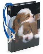 Sleeping Puppies Journal