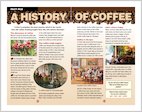 Black Gold: Sample Fact File