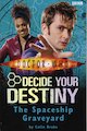 Doctor Who Decide Your Destiny: Spaceship Graveyard