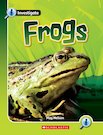Pack of 6 - Frogs