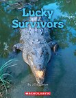 Lucky Survivors x 6