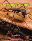 Strong Teams x 6