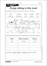 A pig rolling in the mud from Comprehension: Years 1 & 2