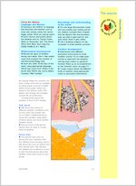 Weather forecast
