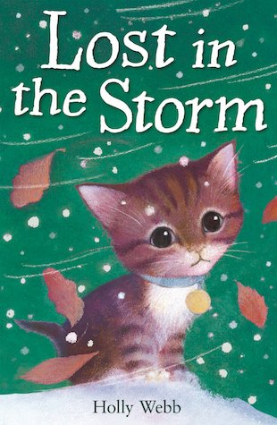 Lost in the Storm
