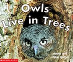 Owls Live in Trees (TTD)