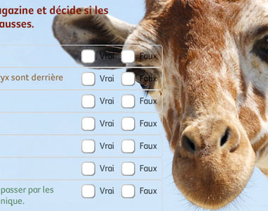 Bonjour-610927