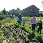 Children at the allotment