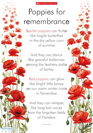 A Remembrance Day poem to use as a discussion starter and to explore similes 