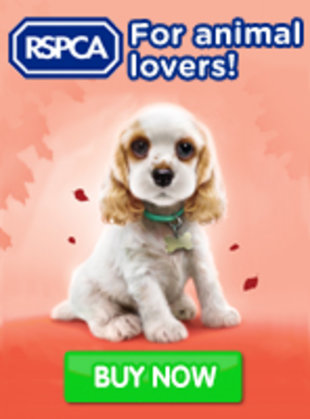 RSPCA Puppy Gets Lost
