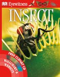 Insect