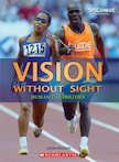 Vision without Sight