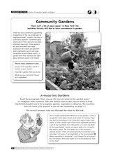 New York community gardens