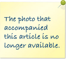 802884j_j-lingo_rex.jpg