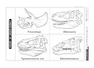 Meat- or plant-eater? dinosaur activity sheet Meat- or plant-eater? dinosaur activity sheet