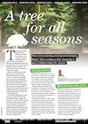 Creative Topic: The seasons