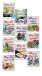 First Questions and Answers Pack