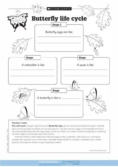 Butterfly life cycle – FREE Primary KS1 teaching resource ...