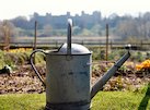 National Allotments Week
