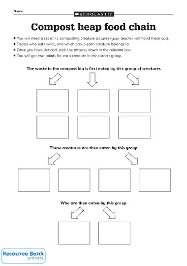 Simple Food Chain Diagram. Food+chain+diagram+for+