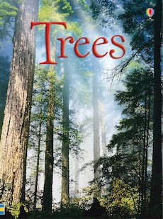 Usborne Beginners: Trees