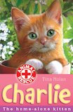 Animal Rescue: Charlie the Home-Alone Kitten