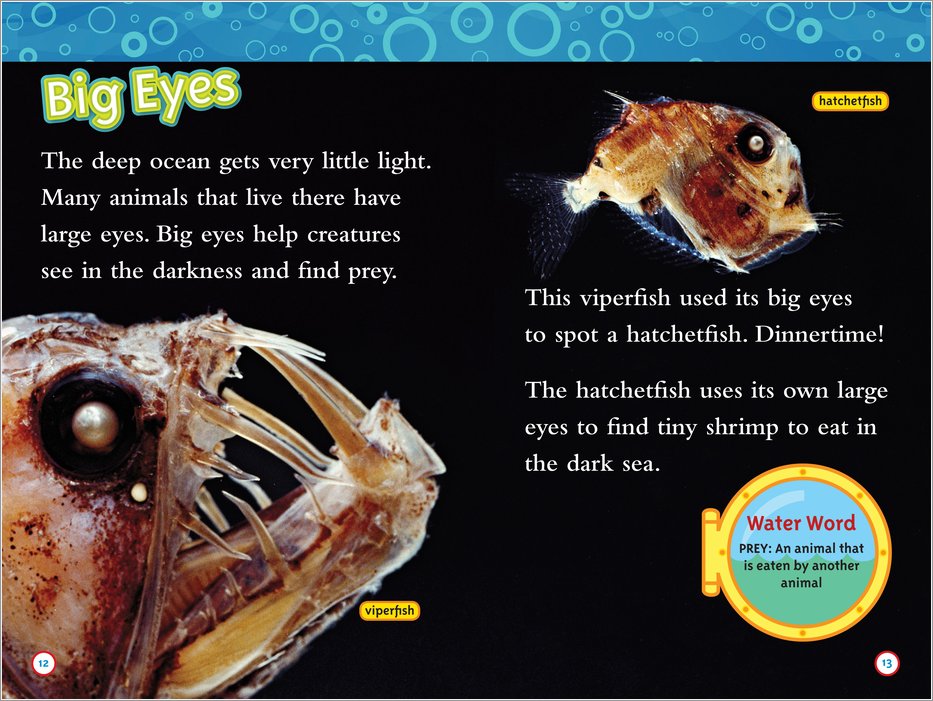 National Geographic Readers: Weird Sea Creatures - Scholastic Book Club