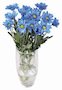 Mothering Sunday
