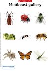 Minibeast gallery