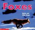 Foxes (TTD)
