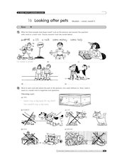 Looking after pets
