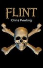 Barrington Stoke Gr8 Reads: Flint