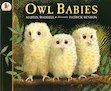 Autumn Picture Book Pack