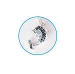 Dolphin jewel necklace