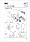Theme 7: Dinosaur eggs