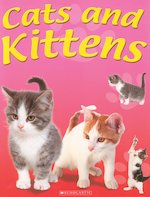 Cats and Kittens Fun Folder