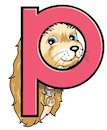 Peter Puppy