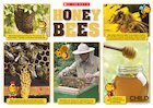 Honey bees