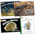 Big Cat Pack: Yellow Band 3