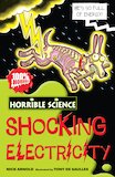 Shocking Electricity