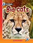 Pack of 6 - Big Cats