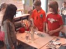 The International School of The Hague Part 2