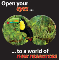 Toucan, decorative image