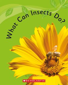 Guided Readers: What Can Insects Do? Pack of 6